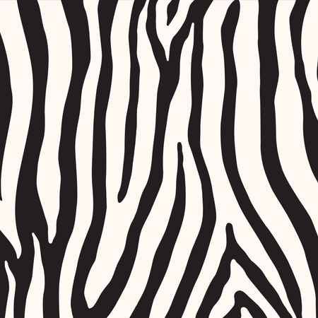 Zestaw Kambukka Elegant Zebra
